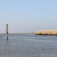 /album/mer/frida-dumont-img-3493-jpg1/